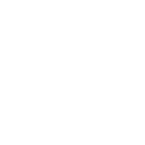 Express Js icon