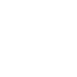 Shadcn Ui icon